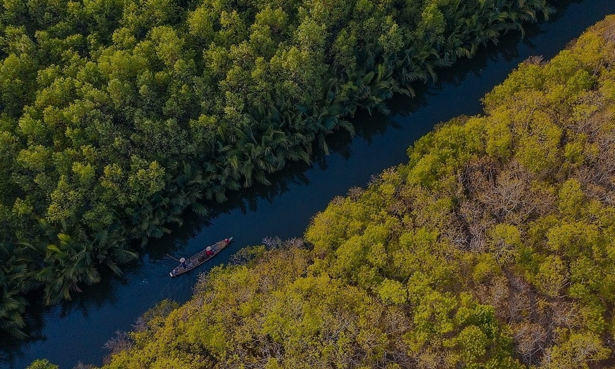 Ru Cha Mangrove Forest